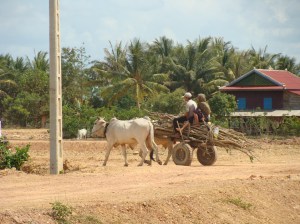 04_Kampot_Transport
