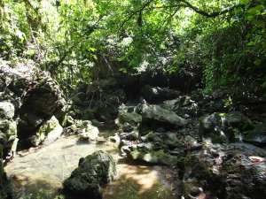 Khao Sok National Park