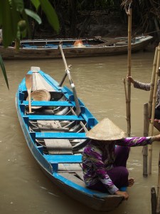 Mekong Delta HCMC