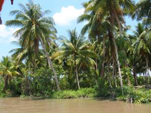 Mekong Delta HCMC