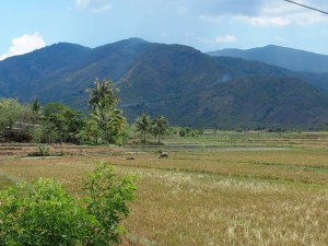 Roadtrip nach Da Lat