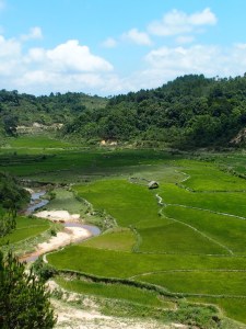 QL 24: Kon Tum - Quang Ngai