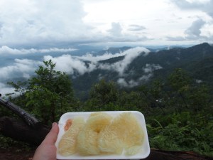 frisches Obst ist immer dabei